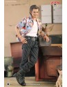 Ace Ventura: Pet Detective Action Figure 1/6 Jim Carrey 30 cm - 7 - 
