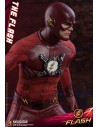The Flash Television Series 31 cm - 6 - 