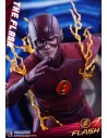 The Flash Television Series 31 cm - 9 - 