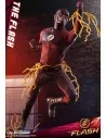 The Flash Television Series 31 cm - 10 - 