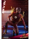 The Flash Television Series 31 cm - 11 - 