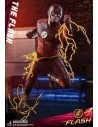 The Flash Television Series 31 cm - 12 - 