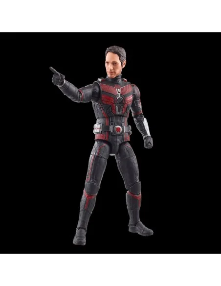 Ant-Man Fig 15 Cm Marvel Legends Series