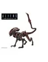 Aliens Fireteam Elite Prowler 23 cm - 2 - 