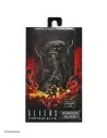 Aliens: Fireteam Elite Runner 23 cm - 1 - 