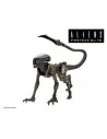 Aliens: Fireteam Elite Runner 23 cm - 2 - 