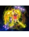 BANDAI MYTH CLOTH SAINT SEIYA SOUL OF GOLD SCORPIO 18 CM - 10 - 