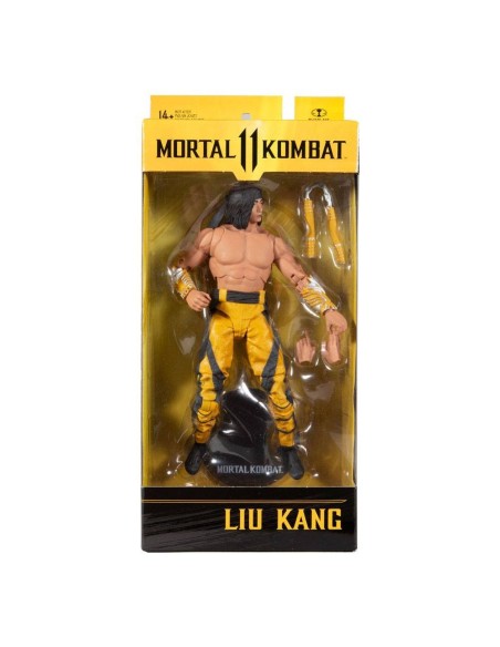 Mortal Kombat Liu Kang Fighting Abbott 18 cm - 1 - 