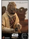 Star Wars The Mandalorian Tusken Raider 1:6 - 11 - 