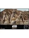 Star Wars The Mandalorian Tusken Raider 1:6 - 13 - 