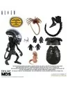 Alien Deluxe MDS Xenomorph 18 cm - 10 - 