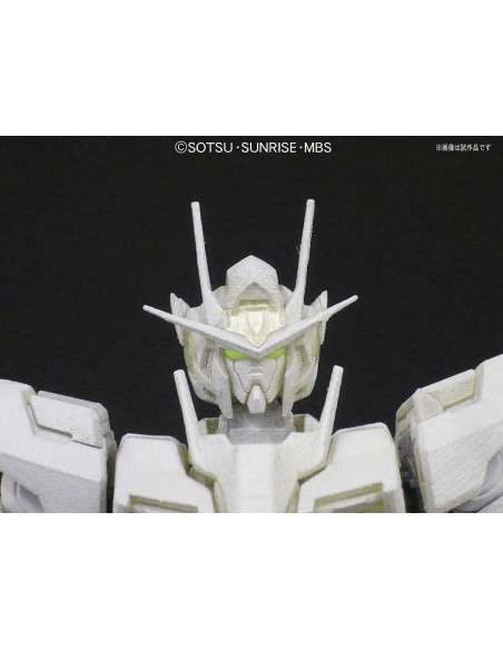 Mg OO Raiser 1/100 - 6 - 
