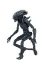 Razor Claws Alien vs Predator Action Figure 20 cm - 2 - 