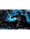 The Dark Knight Action Figure 1/12 Batman DX Edition 17 cm - 9 - 