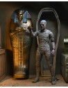Universal Monsters Accessory Pack The Mummy - 2 - 