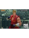 Tekken 7 Action Figure 1/12 Paul Phoenix 18 cm - 10 - 