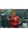Tekken 7 Action Figure 1/12 Paul Phoenix 18 cm - 13 - 