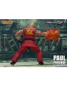 Tekken 7 Action Figure 1/12 Paul Phoenix 18 cm - 14 - 