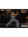 Virtua Fighter 5 Akira Yuki 18 cm 1/12 - 4 - 