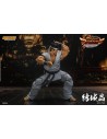 Virtua Fighter 5 Ultimate Showdown Action Figure 1/12 Akira Yuki 18 cm - 6 - 