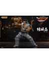 Virtua Fighter 5 Akira Yuki 18 cm 1/12 - 8 - 