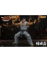 Virtua Fighter 5 Akira Yuki 18 cm 1/12 - 10 - 