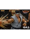 Virtua Fighter 5 Akira Yuki 18 cm 1/12 - 12 - 