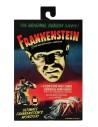 Universal Monsters Frankenstein's Monster Color Edition 18 cm - 2 - 