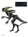Alien Spitter Fireteam Elite Action Figure 23 cm Series 2 - 2 - 