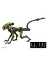 Alien Burster Fireteam Elite Action Figure 23 cm Series 2 - 2 - 