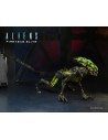 Alien Burster Fireteam Elite Action Figure 23 cm Series 2 - 7 - 