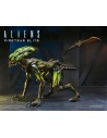 Alien Burster Fireteam Elite Action Figure 23 cm Series 2 - 8 - 