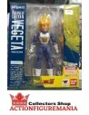 BANDAI DRAGON BALL SUPER SAIYAN VEGETA PREMIUM COLOR EDITION - 1