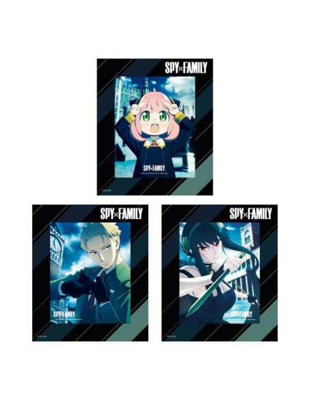 Spy x Family 3D Lenticular Framed Cards 3 pack Perfect Day 17 x 13 cm  Sakami Merchandise