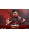 Shang-Chi and the Legend of the Ten Rings 1/6 MMS614 - 9 - 