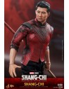 Shang-Chi and the Legend of the Ten Rings 1/6 MMS614 - 13 - 