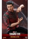 Shang-Chi and the Legend of the Ten Rings 1/6 MMS614 - 14 - 