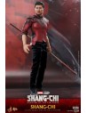 Shang-Chi and the Legend of the Ten Rings 1/6 MMS614 - 15 - 