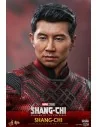 Shang-Chi and the Legend of the Ten Rings 1/6 MMS614 - 17 - 