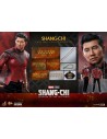 Shang-Chi and the Legend of the Ten Rings 1/6 MMS614 - 18 - 