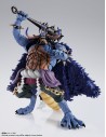 One Piece S.H. Figuarts Action Figure Kaido King of the Beasts (Man-Beast form) 25 cm - 3 - 