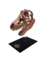 Jurassic Park Scaled Prop Replica T-Rex Skull 10 cm  Factory Entertainment