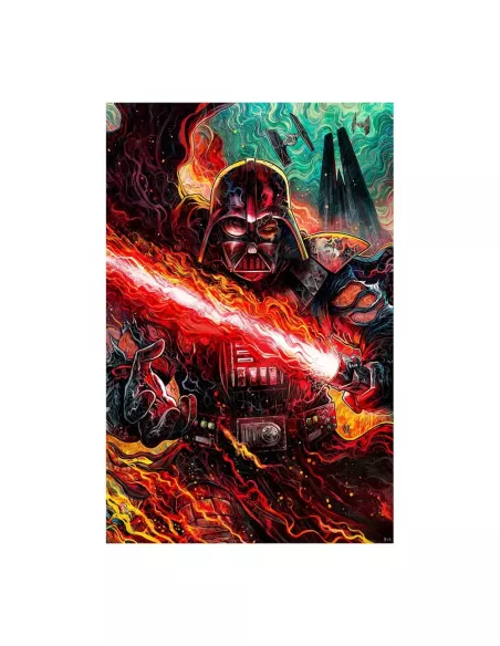 Star Wars Art Print Darth Vader: Dark Lord's Fury 41 x 61 cm - unframed