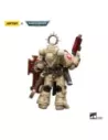 Warhammer 40k Action Figure 1/18 Dark Angels Bladeguard Veteran 12 cm  Joy Toy (CN)