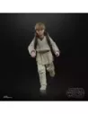 Star Wars Episode I Black Series Action Figure Anakin Skywalker 15 cm  Hasbro