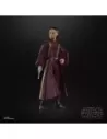Star Wars Episode I Black Series Action Figure Padmé Amidala 15 cm  Hasbro