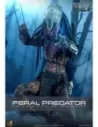 Prey Action Figure 1/6 Feral Predator 37 cm  Hot Toys