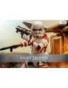 Star Wars: Ahsoka Action Figure 1/6 Night Trooper 31 cm  Hot Toys