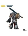 Warhammer 40k Af 1/18 Grey Knights Strike Squad Justicar 12 cm  Joy Toy (CN)