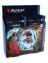 Magic the Gathering Mord in Karlov Manor Collector Booster Display (12) german  Wizards of the Coast